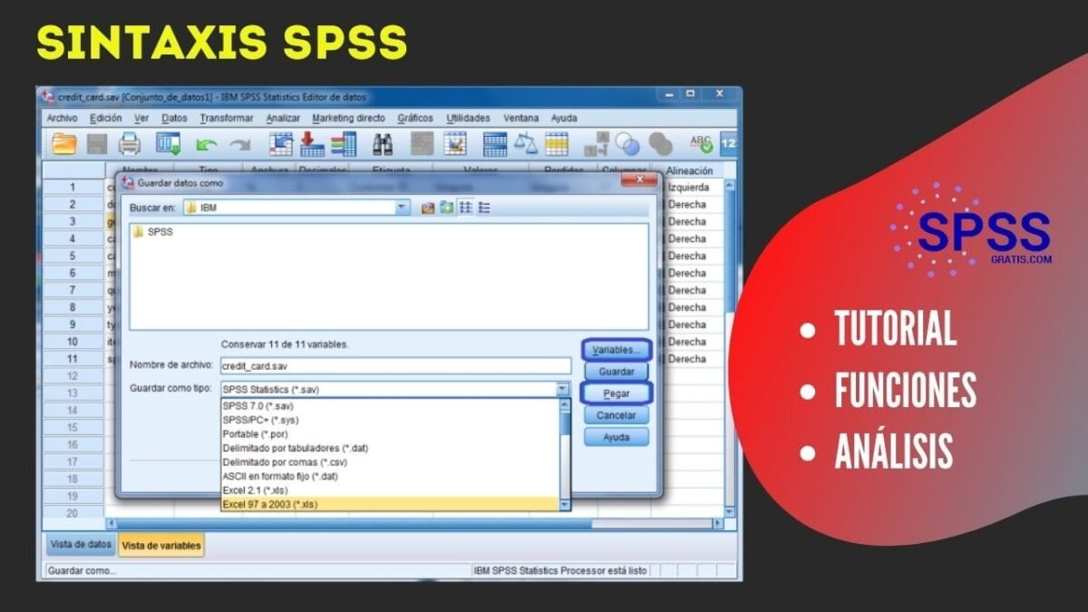 Sintaxis de SPSS una introducción rápida SPSS GRATIS