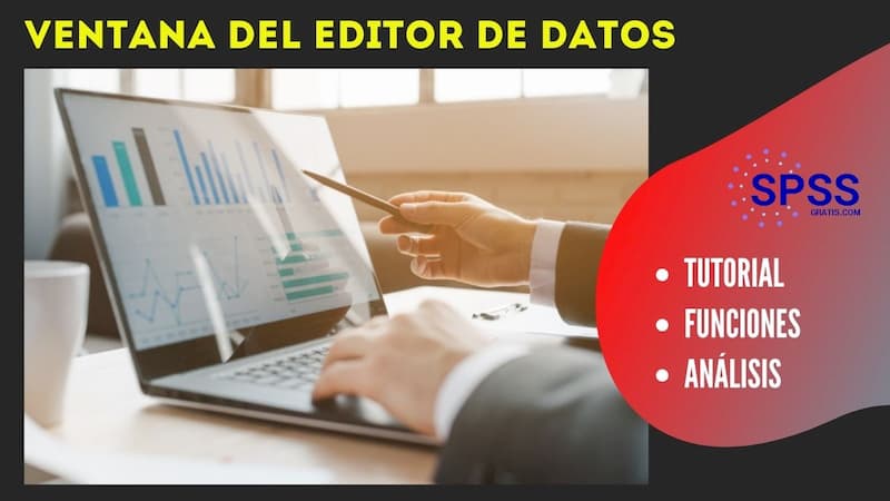 ventana del editor de datos